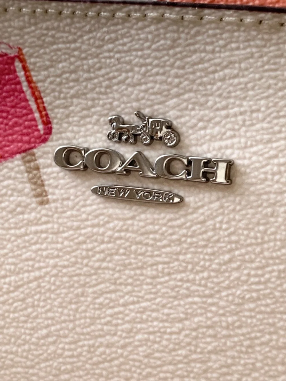 Coach Camera Bag Popsicle Print New